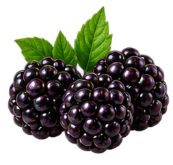 Blackberry